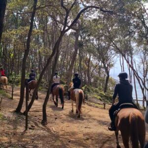 6-daagse Paardentocht Natuurreservaat en Strand van Punta Ala Toscane - Italië - Afbeelding 14