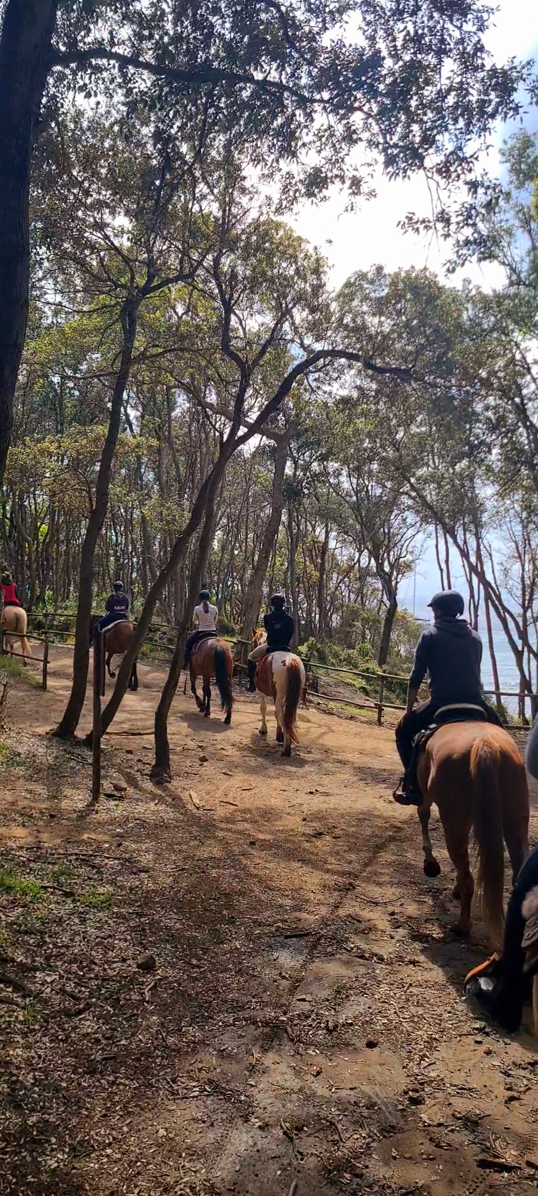 6-daagse Paardentocht Natuurreservaat en Strand van Punta Ala Toscane - Italië - Afbeelding 14