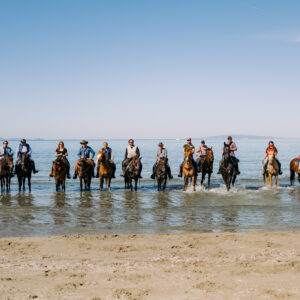 6-daagse Paardentocht Natuurreservaat en Strand van Punta Ala Toscane - Italië - Afbeelding 25