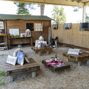 4-daagse Paardentocht Cala Violina & Strand van Punta Ala Toscane - Italië - Afbeelding 18