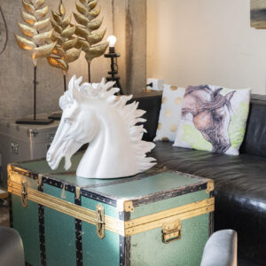 6-daagse Paardentocht Natuurreservaat en Strand van Punta Ala Toscane - Italië - Afbeelding 15