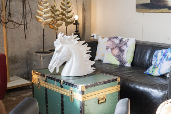 6-daagse Paardentocht Natuurreservaat en Strand van Punta Ala Toscane - Italië