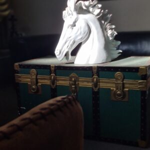 4-daagse Paardentocht Cala Violina & Strand van Punta Ala Toscane - Italië - Afbeelding 19