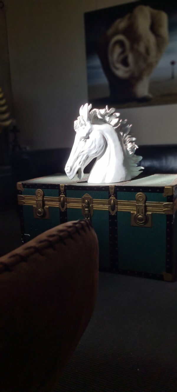 4-daagse Paardentocht Cala Violina & Strand van Punta Ala Toscane - Italië