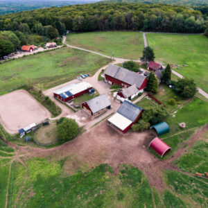 Paardrijkamp Söderåsen - Zweden - Afbeelding 8