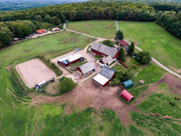 Paardrijkamp Söderåsen - Zweden