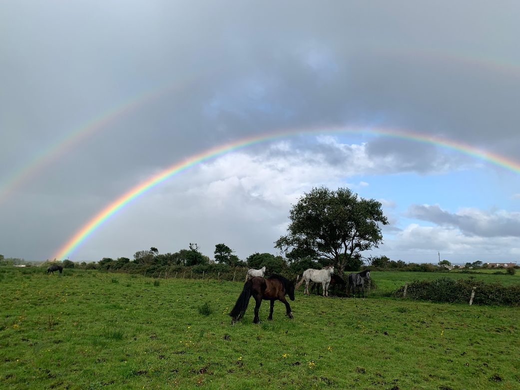 6-daagse paardrijtocht Atlantic Trail  – Ierland