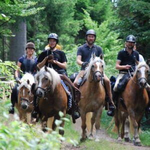 2-daagse Paardrijtocht Deluxe Paardenweekend Söderåsen - Zweden - Afbeelding 5