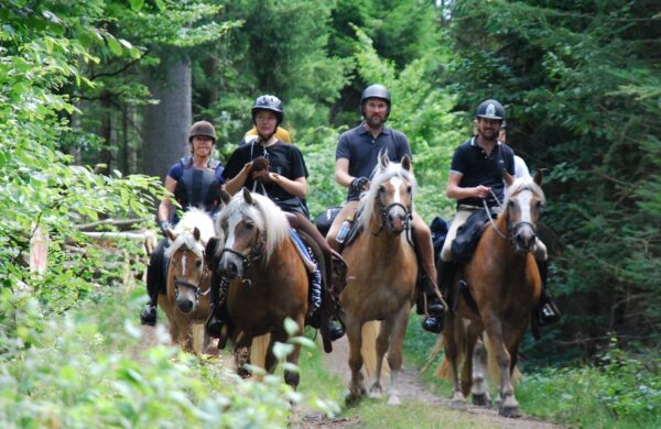 2-daagse Paardrijtocht Deluxe Paardenweekend Söderåsen - Zweden