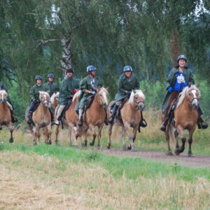 2-daagse Paardrijtocht Deluxe Paardenweekend Söderåsen - Zweden - Afbeelding 6