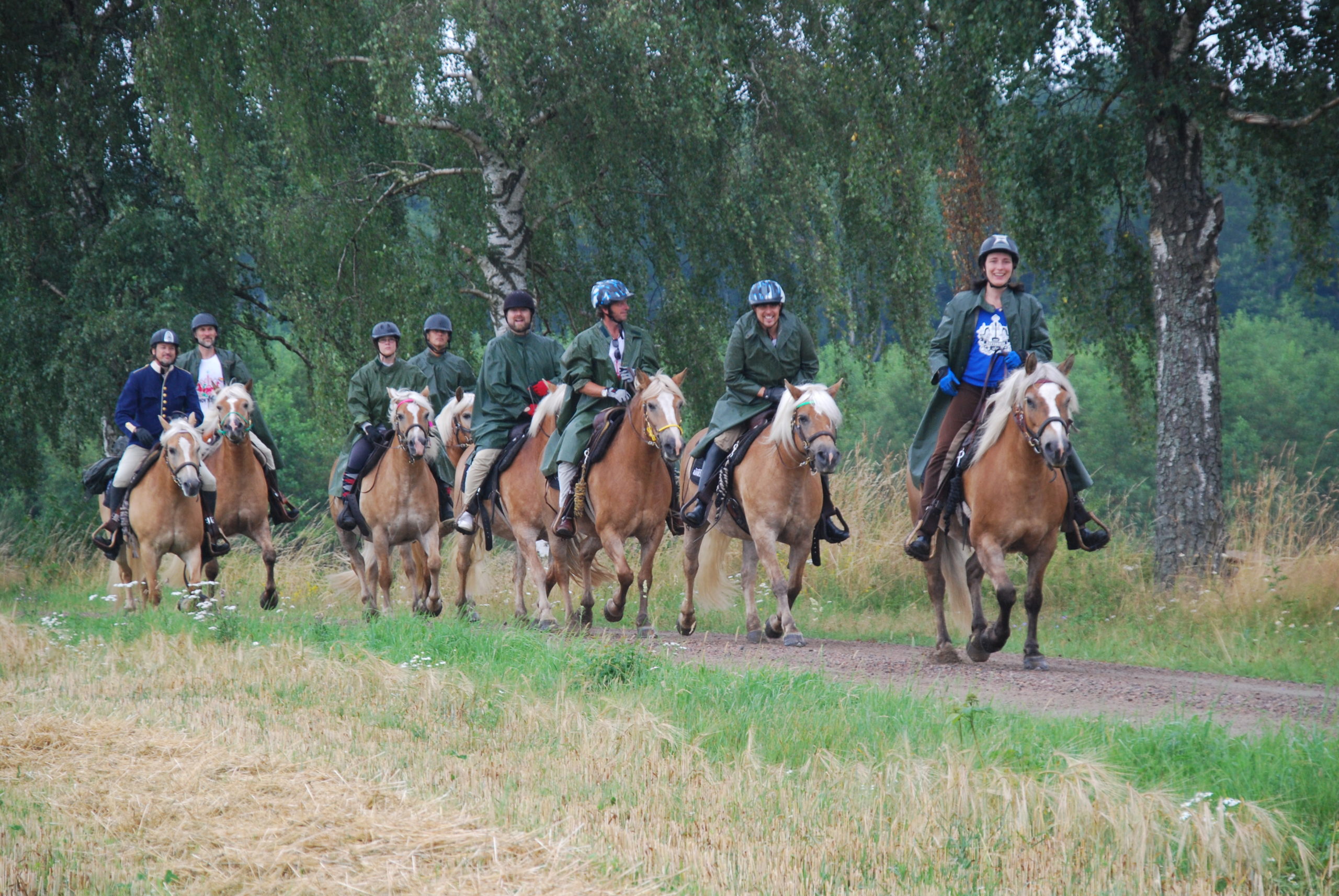 2-daagse Paardrijtocht Deluxe Paardenweekend Söderåsen - Zweden - Afbeelding 6
