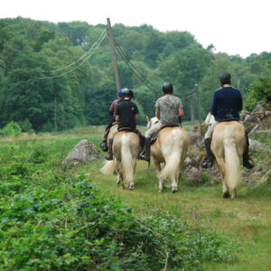 2-daagse Paardrijtocht Deluxe Paardenweekend Söderåsen - Zweden - Afbeelding 7