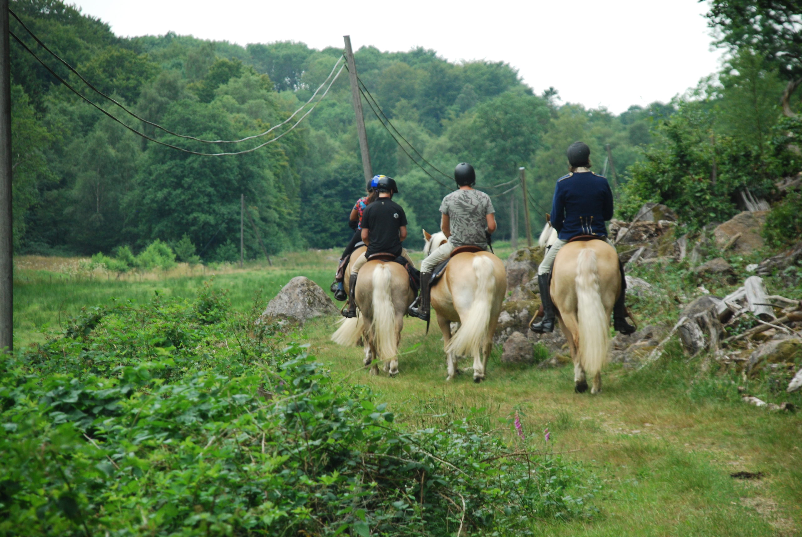 2-daagse Paardrijtocht Deluxe Paardenweekend Söderåsen - Zweden - Afbeelding 7