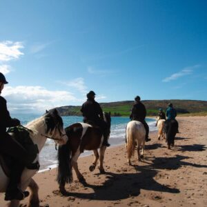7-daagse Paardrijtocht Dwars door Kintyre - Schotland - Afbeelding 6