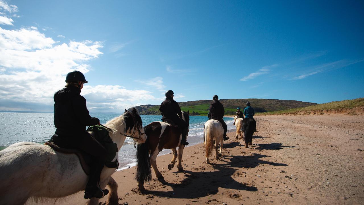7-daagse Paardrijtocht Dwars door Kintyre - Schotland - Afbeelding 6