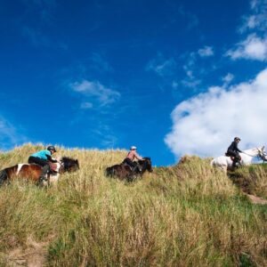 7-daagse Paardrijtocht Dwars door Kintyre - Schotland - Afbeelding 7