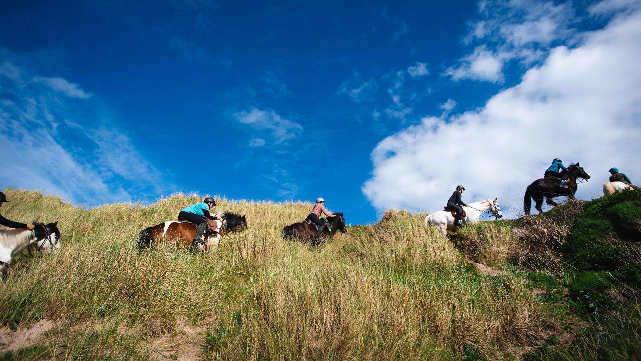 7-daagse Paardrijtocht Dwars door Kintyre - Schotland - Afbeelding 7