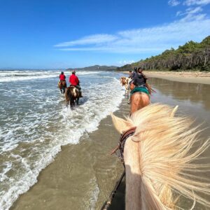6-daagse Paardentocht Natuurreservaat en Strand van Punta Ala Toscane - Italië