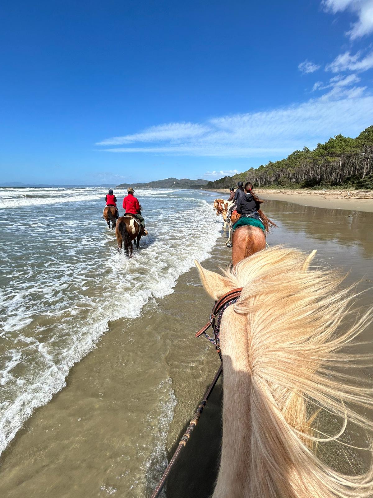 6-daagse Paardentocht Natuurreservaat en Strand van Punta Ala Toscane - Italië