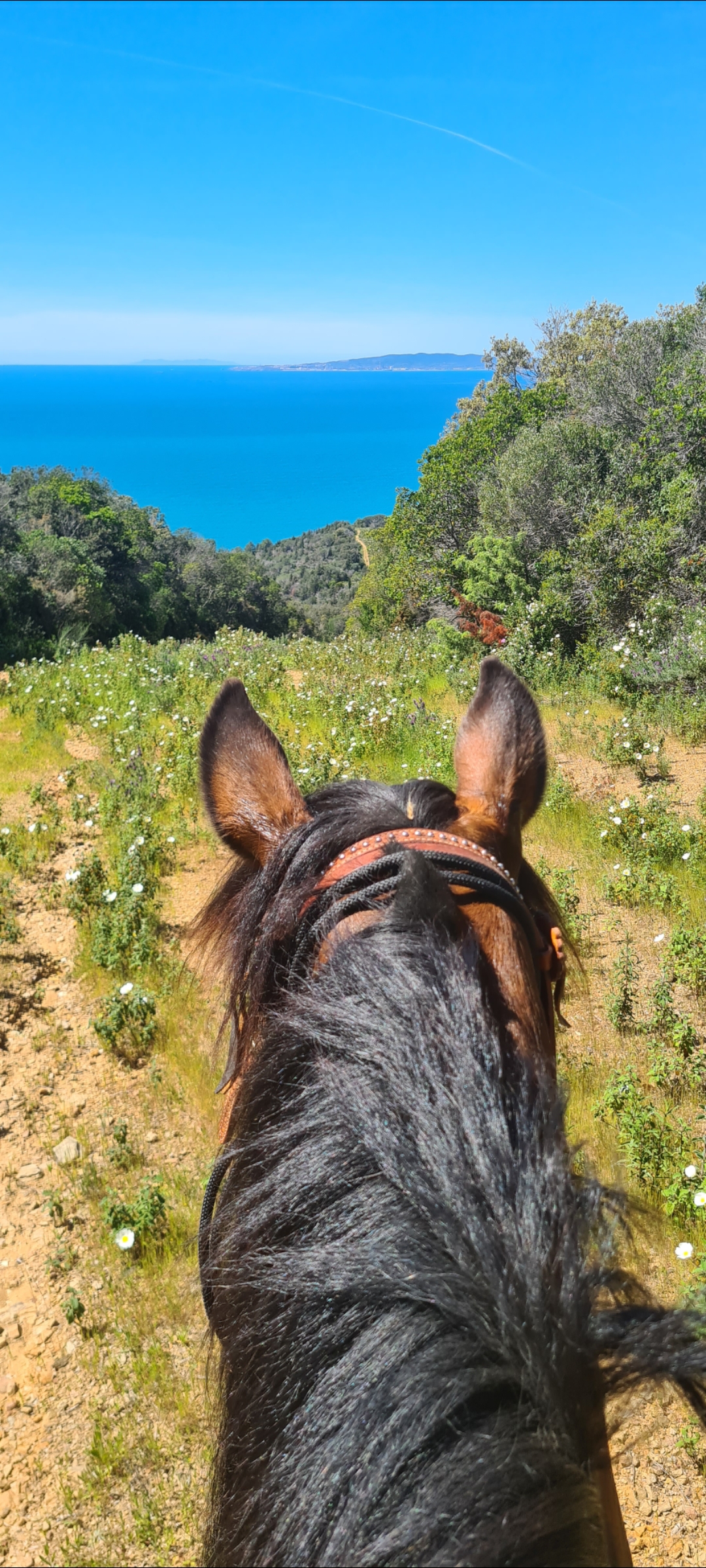 4-daagse Paardentocht Cala Violina & Strand van Punta Ala Toscane - Italië