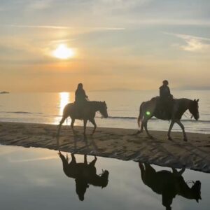 6-daagse Paardentocht Natuurreservaat en Strand van Punta Ala Toscane - Italië - Afbeelding 17