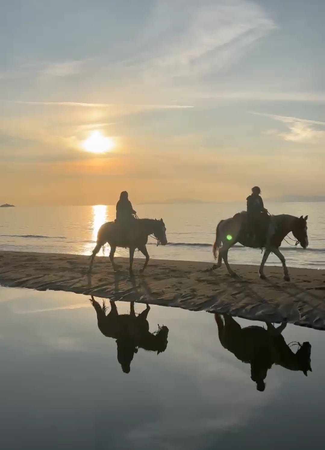 6-daagse Paardentocht Natuurreservaat en Strand van Punta Ala Toscane - Italië - Afbeelding 17