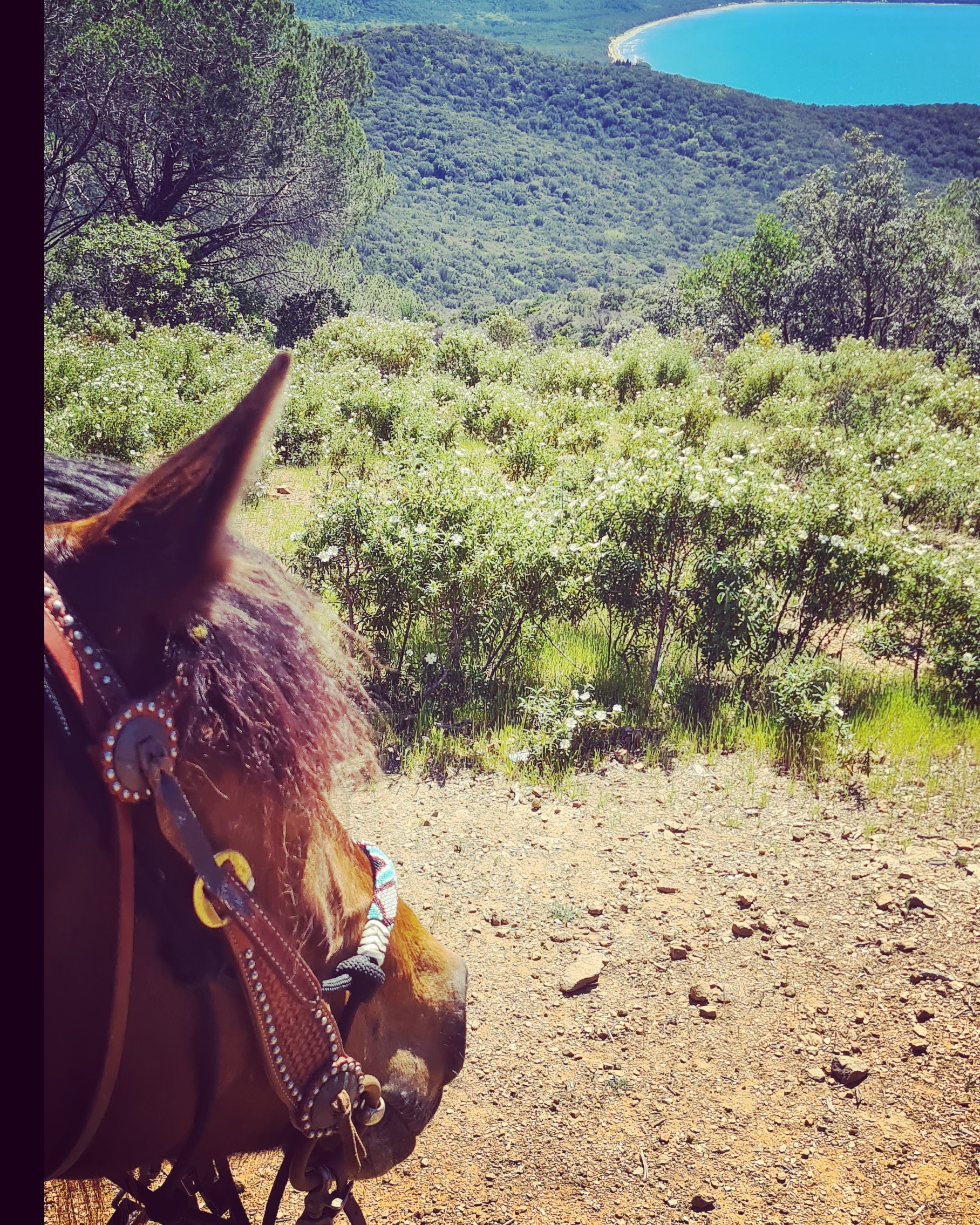 4-daagse Paardentocht Cala Violina & Strand van Punta Ala Toscane - Italië