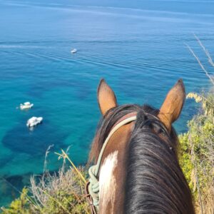 4-daagse Paardentocht Cala Violina & Strand van Punta Ala Toscane - Italië - Afbeelding 28