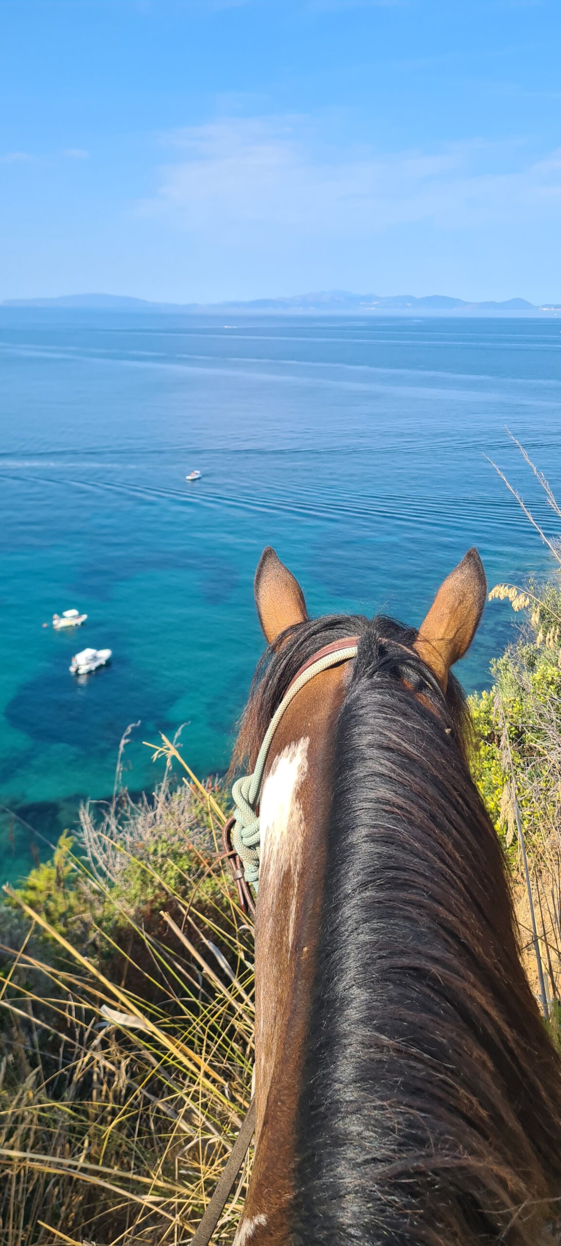 4-daagse Paardentocht Cala Violina & Strand van Punta Ala Toscane - Italië