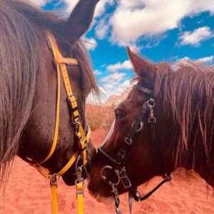 Dagrit Wadi Rum - Jordanië - Afbeelding 17