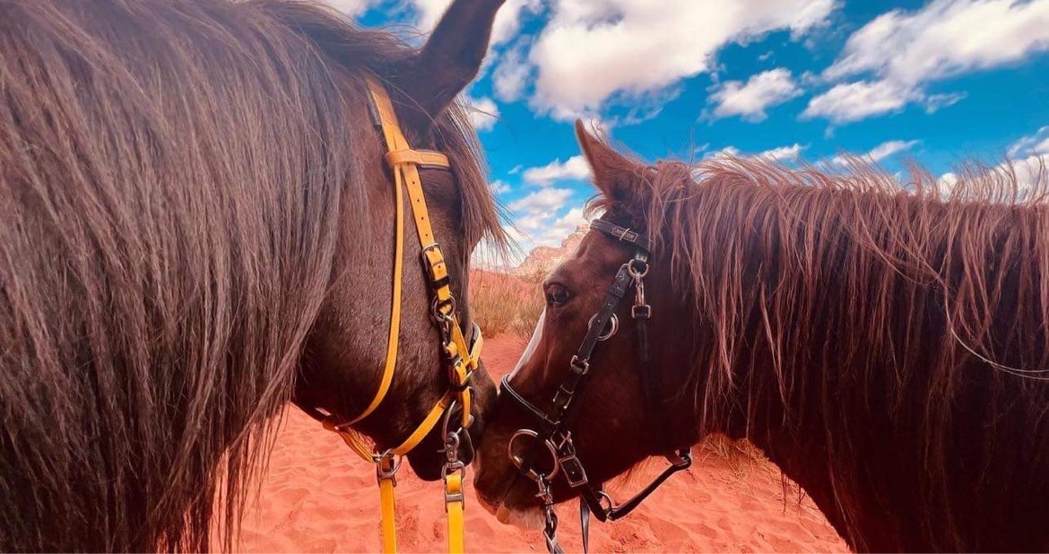 Dagrit Wadi Rum - Jordanië - Afbeelding 17