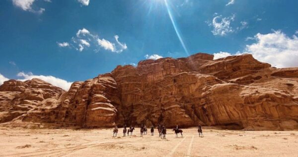 2-daagse paardrijtocht Wadi Rum - Jordanië