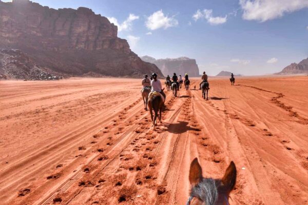 10-daagse paardrijtocht Van de Roze Stad naar de Vallei van de Maan - Jordanië