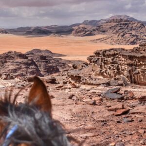 2-daagse paardrijtocht Wadi Rum - Jordanië - Afbeelding 20