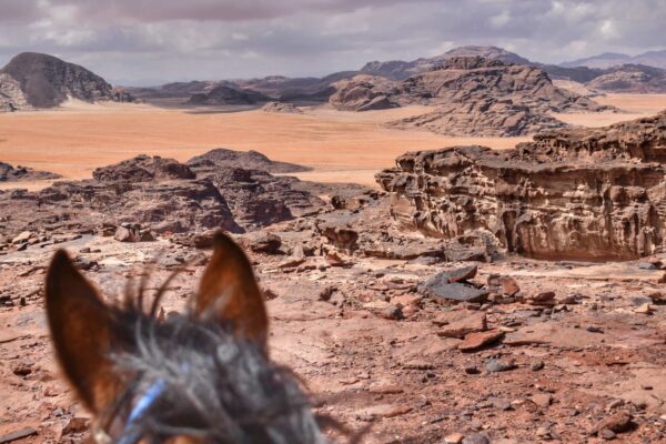 2-daagse paardrijtocht Wadi Rum - Jordanië