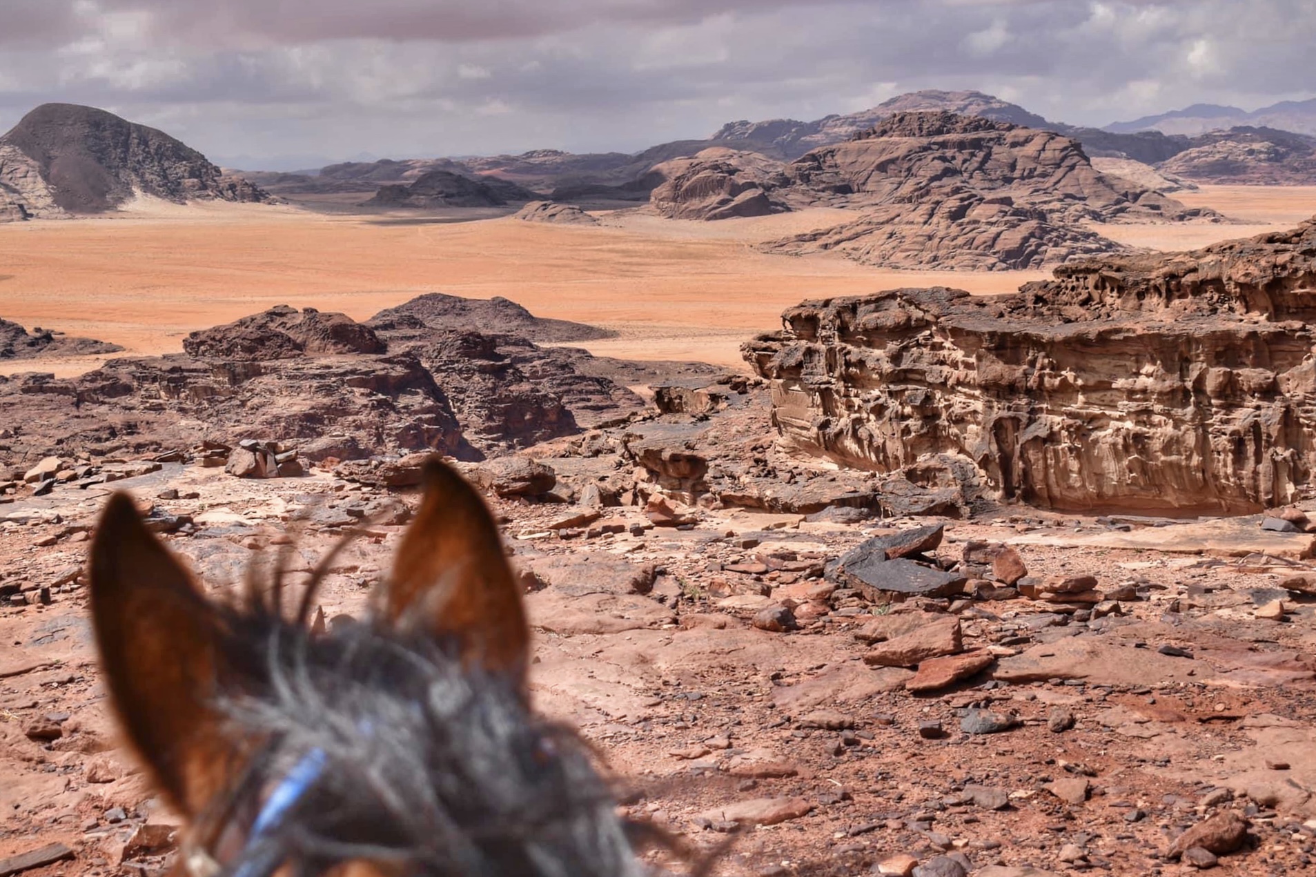 2-daagse paardrijtocht Wadi Rum - Jordanië - Afbeelding 20
