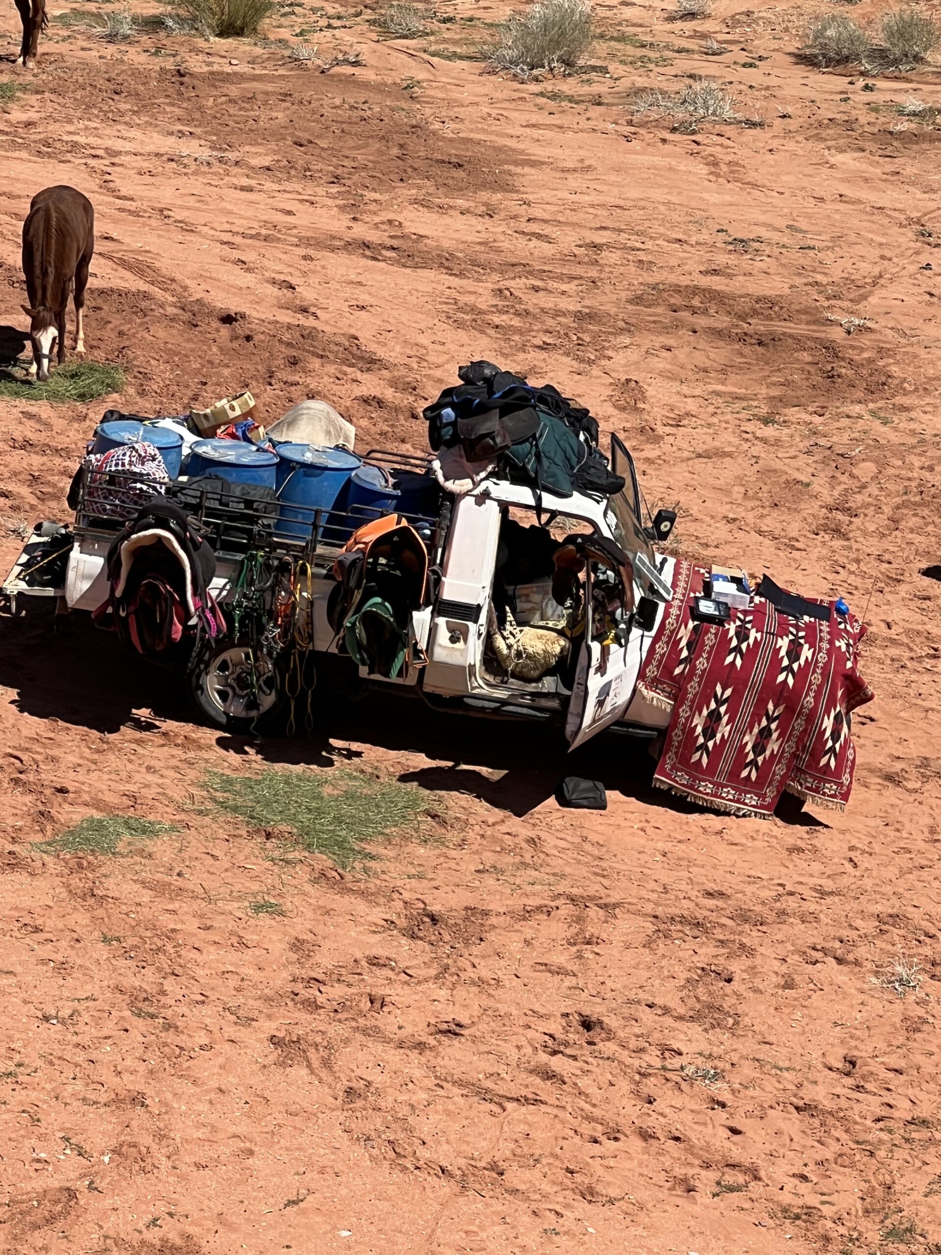 2-daagse paardrijtocht Wadi Rum - Jordanië - Afbeelding 15