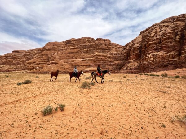 Dagrit Wadi Rum - Jordanië