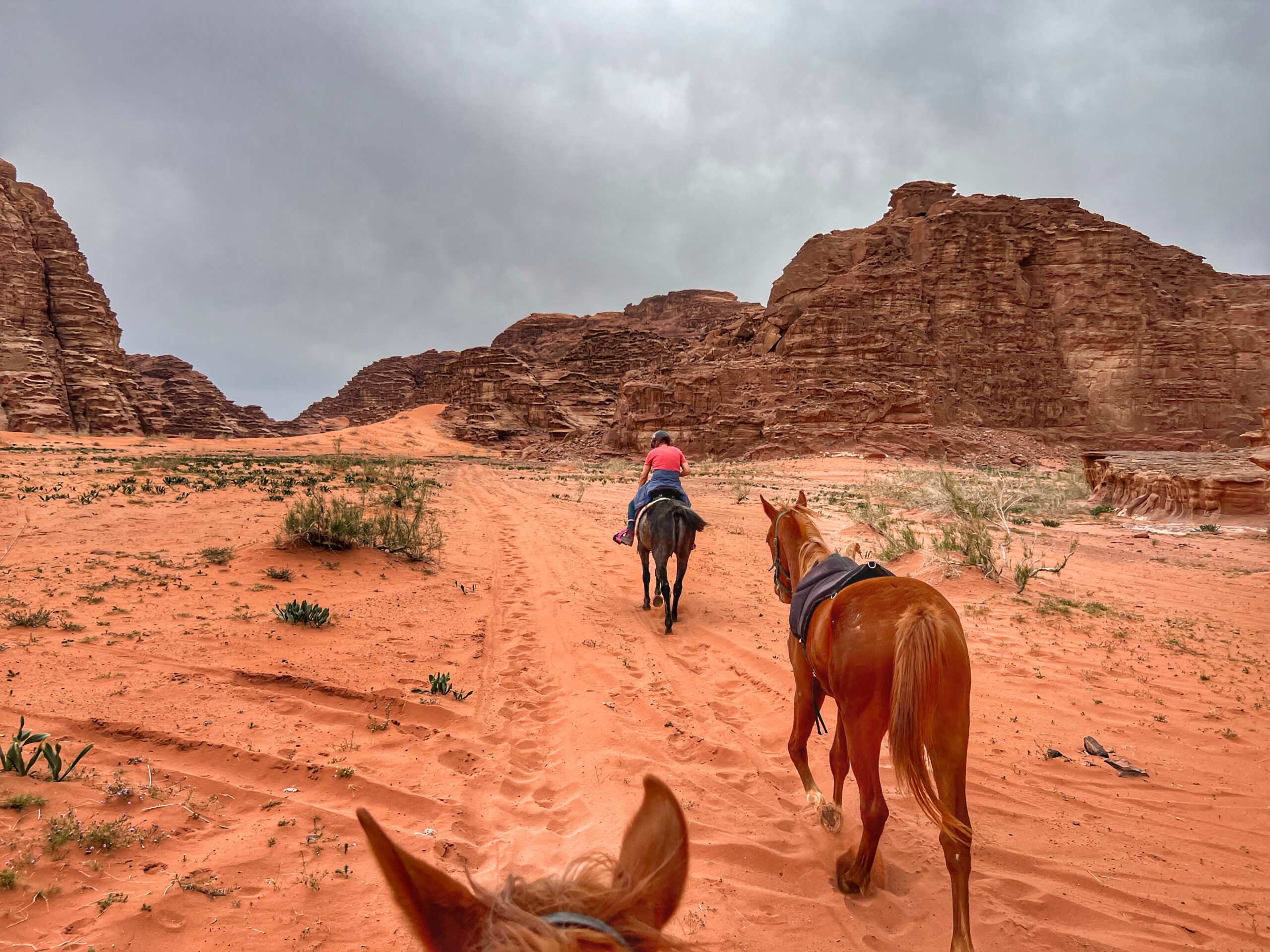 2-daagse paardrijtocht Wadi Rum - Jordanië - Afbeelding 10