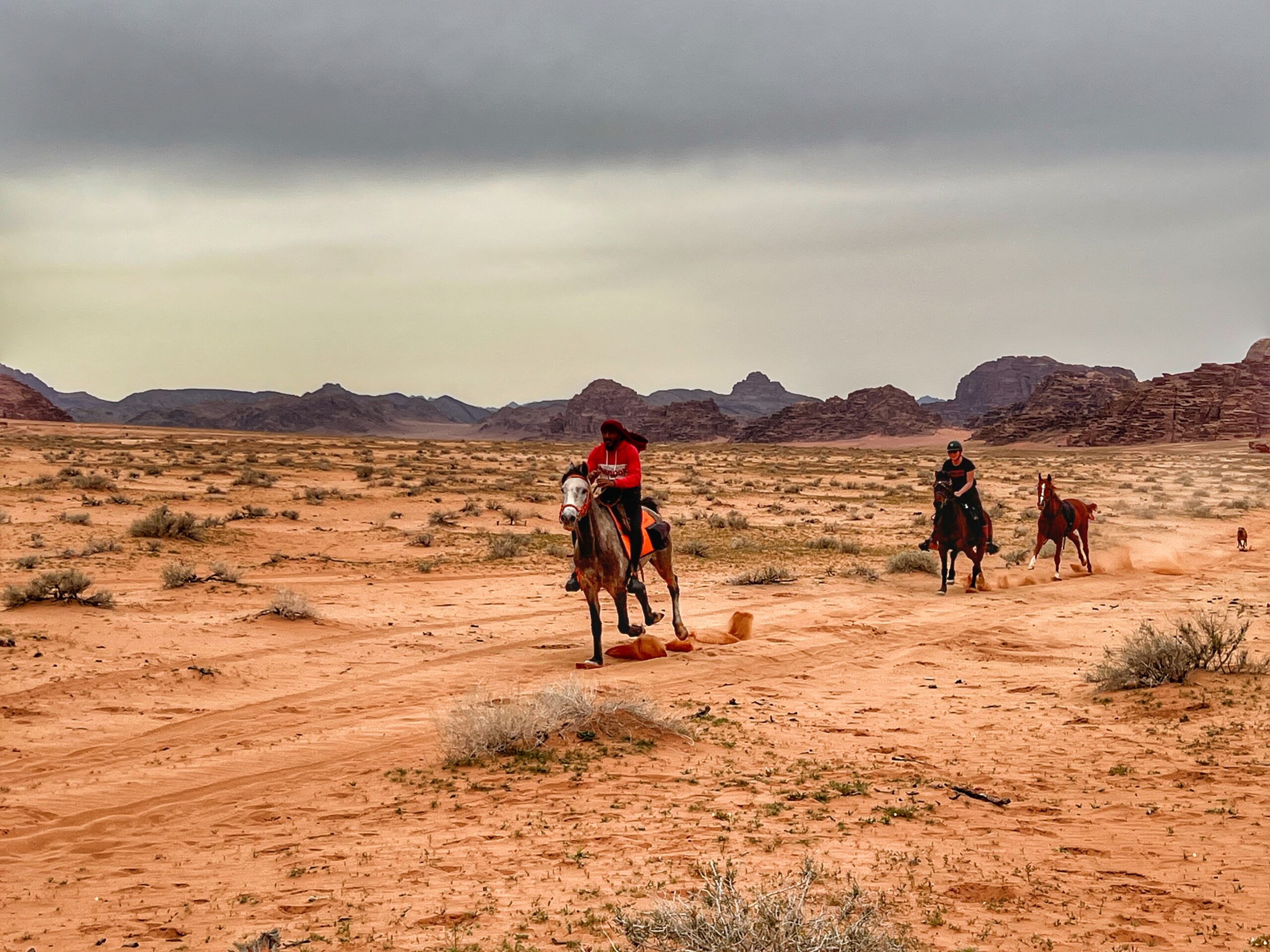 2-daagse paardrijtocht Wadi Rum - Jordanië - Afbeelding 9