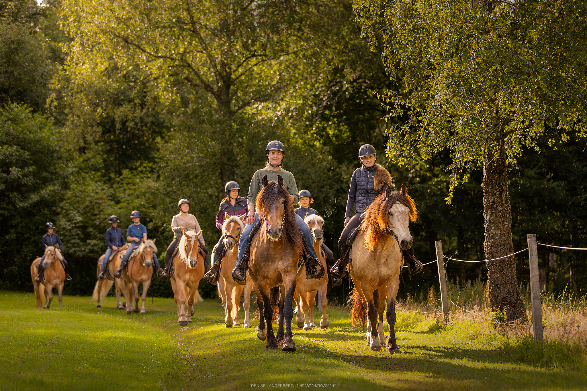 Paardrijkamp Söderåsen - Zweden - Afbeelding 12