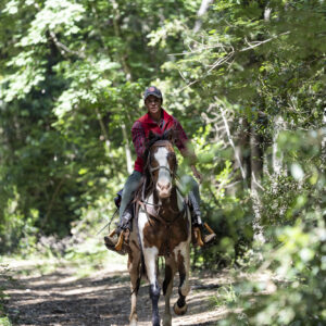 6-daagse Paardentocht Natuurreservaat en Strand van Punta Ala Toscane - Italië - Afbeelding 30