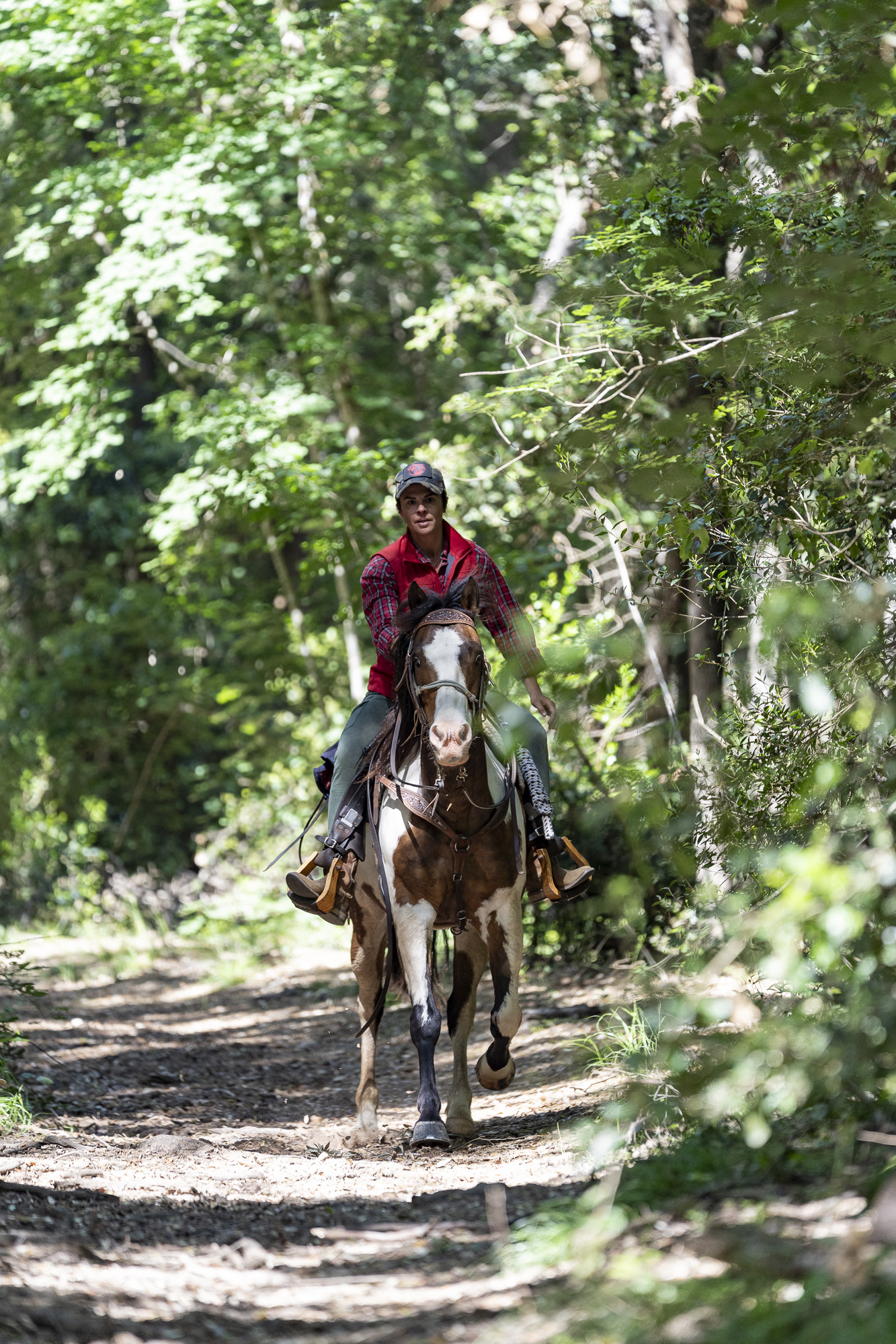6-daagse Paardentocht Natuurreservaat en Strand van Punta Ala Toscane - Italië