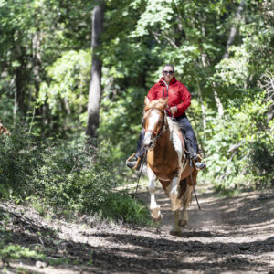 4-daagse Paardentocht Cala Violina & Strand van Punta Ala Toscane - Italië - Afbeelding 27