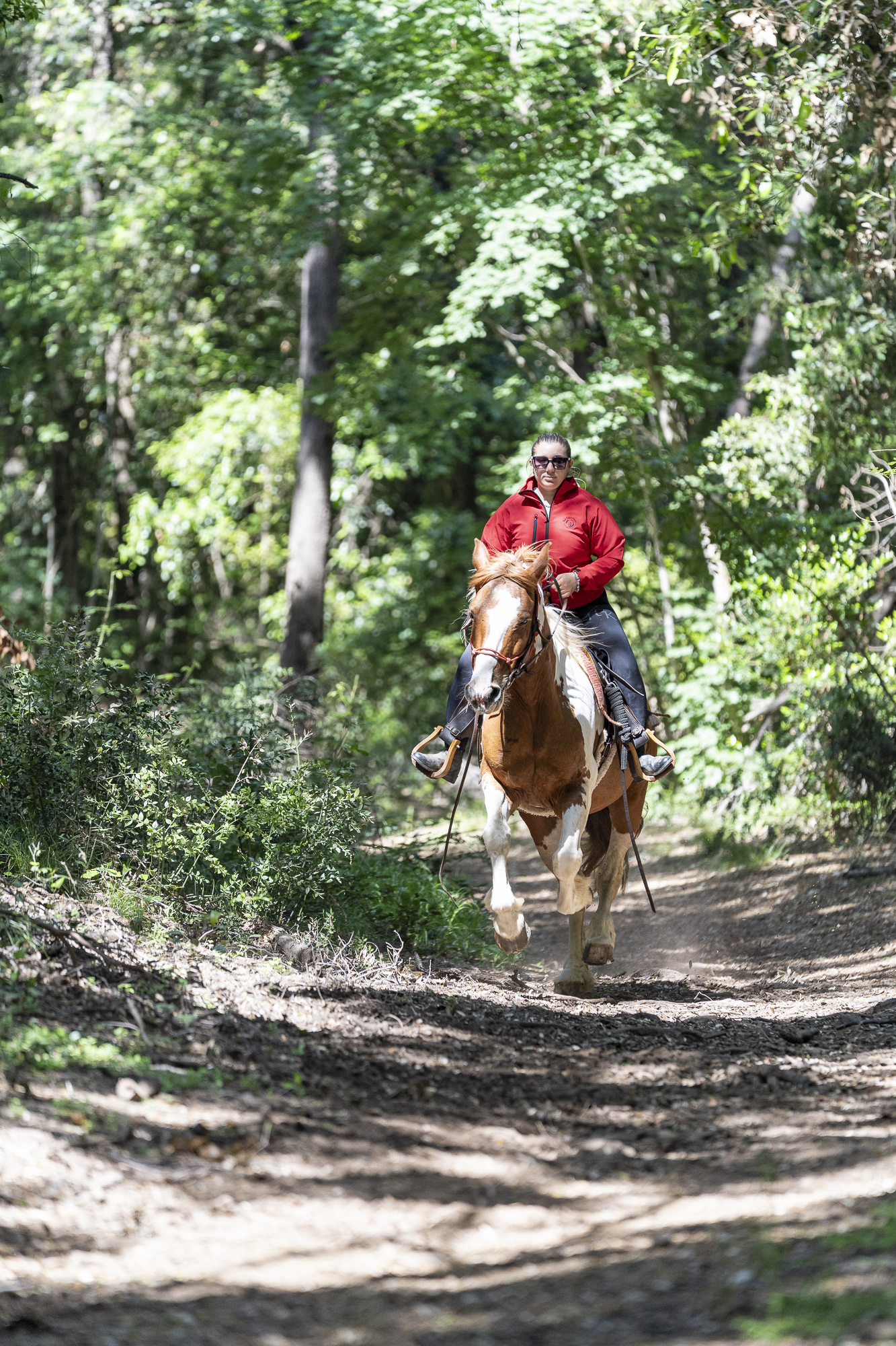 4-daagse Paardentocht Cala Violina & Strand van Punta Ala Toscane - Italië
