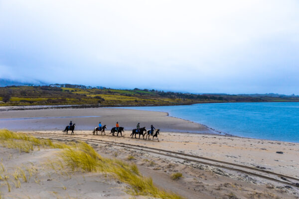 6-daagse paardrijtocht Atlantic Trail  – Ierland