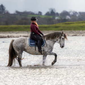 6-daagse paardrijtocht Atlantic Trail  – Ierland - Afbeelding 3