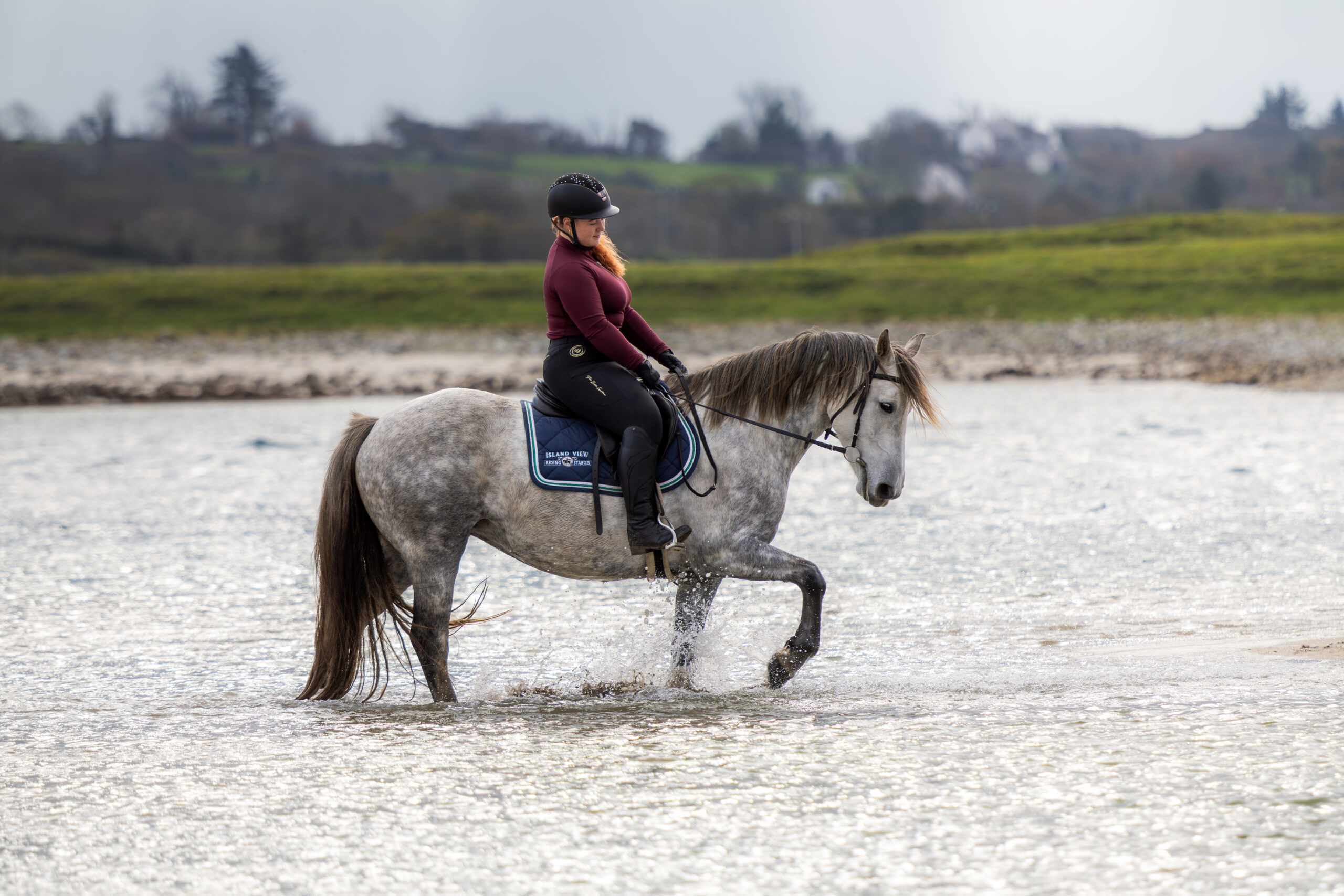 6-daagse paardrijtocht Atlantic Trail  – Ierland - Afbeelding 3