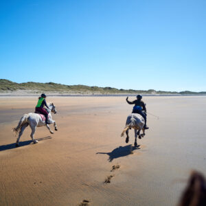 6-daagse paardrijtocht Atlantic Trail  – Ierland - Afbeelding 4