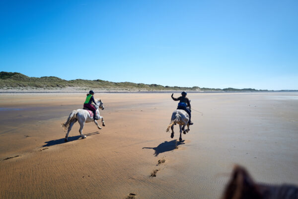 6-daagse paardrijtocht Atlantic Trail  – Ierland